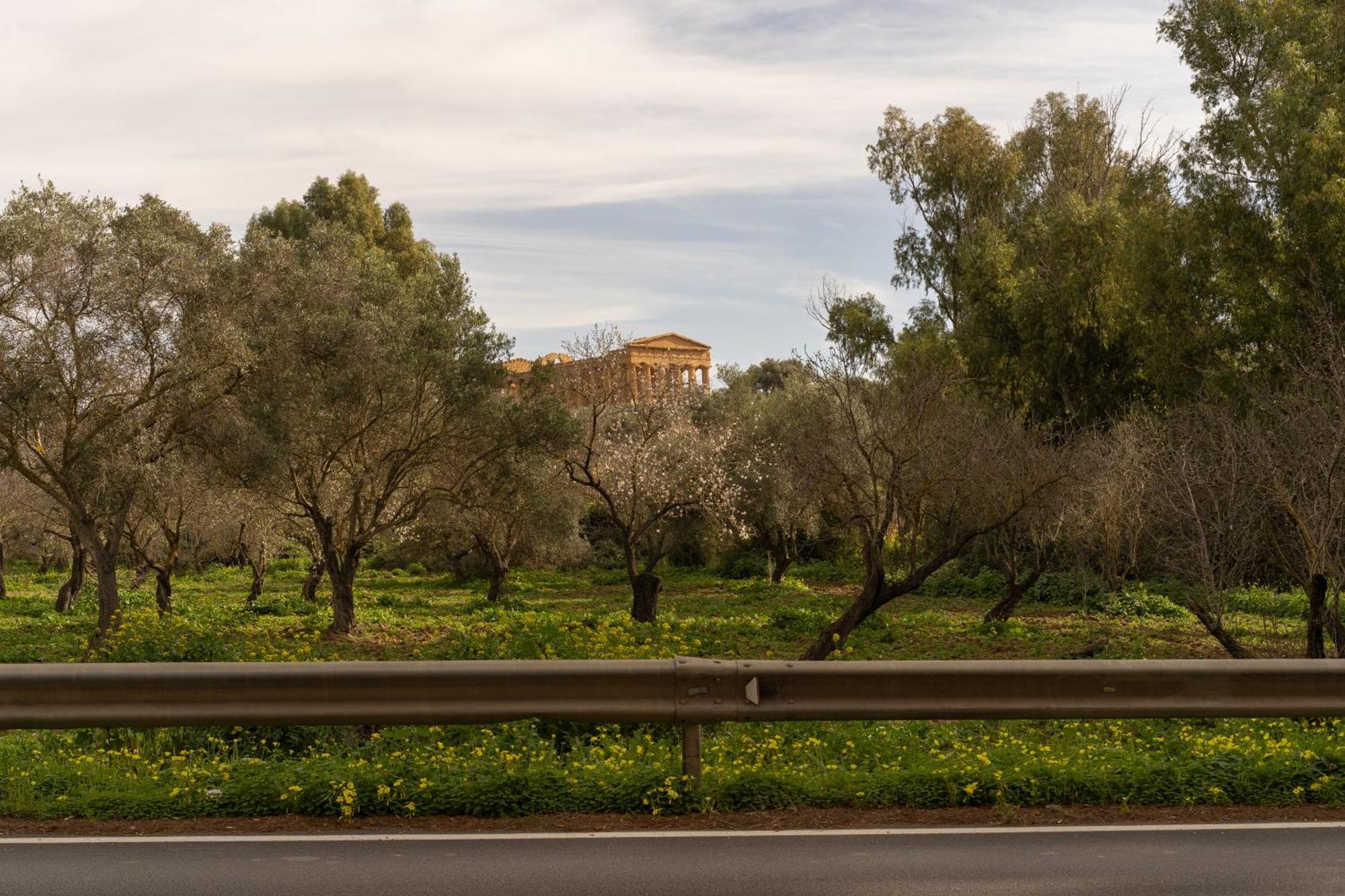 Bed and Breakfast Il Giardino Del Tempio Agrigent Exterior foto